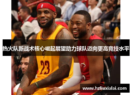 热火队新战术核心崛起展望助力球队迈向更高竞技水平