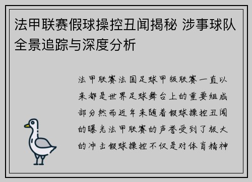 法甲联赛假球操控丑闻揭秘 涉事球队全景追踪与深度分析